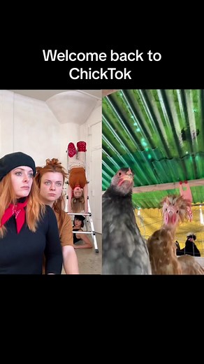 ChickTok Dance with Kristi Griffith, Malia Baker, and Ardyn Flynt