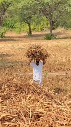 YASH SUTHAR (BABU TASKER) on Instagram: "पाइप फाड़ दिनों 💧🏍️😂 #pipe #bike #fight #trending #funny #comedy #new #babutasker #viralcomedy #yashsuthar09 #goviral #fyp #foryou"