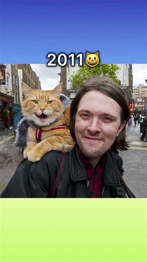 Famous legendary cat meme #cat #memes #thenandnow