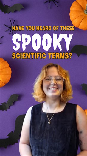 Ever met a Dracula… gene? Discover more about these hauntingly good scientific terms this Halloween via the link in the comments! | The Science Explorer