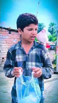 কাটুস বন্ধু সুইচ❤️#animalকাটুস#kabutar #কবুতর#shorts#পাইরা#shorthistory#নাসিমভাই#love#pigeon#CATOON