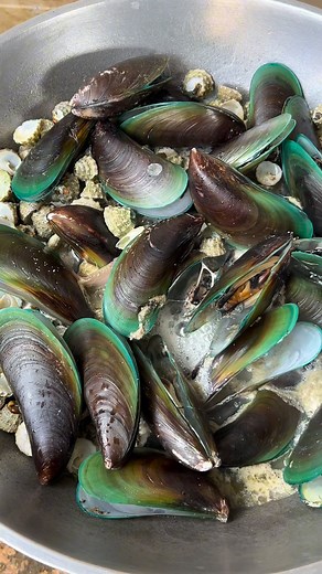 Ginataang Tahong na may kasamang maliliit na shells ang aming hapunan sa gabing ito❤️. #fypviralシ #fypageシ #fypシ゚ #digitalcreator #CommunityEngagement | TitaResh Sarail