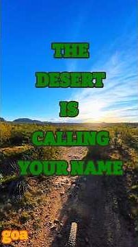 Fast, smooth, and dangerously good #arizonatrail #scottsdale #mountainbiking #singletrack