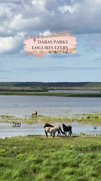 Explore the Beauty of Engures Ezers in Latvia