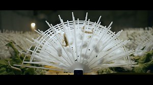 Seta - Un documentario sul baco e la rinascita della via della Seta. Il documentario sui bachi da seta va in onda su Telebelluno e DolomitiLifeTV lunedì 27 gennaio alle ore 20:50, mercoledì 29 gennaio alle ore 16:30. Prossimamente in streaming su DolomitiLifeTV! #dolomitiproduction #dolomitilifetv #telebelluno | Telebelluno | Facebook