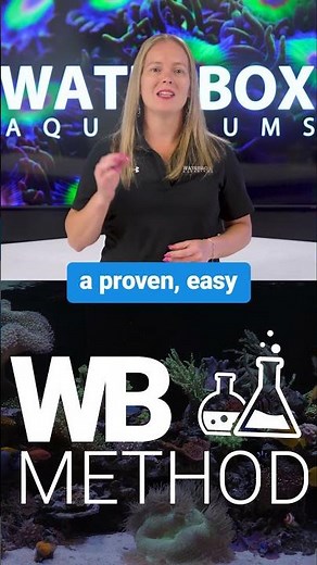 Simple Daily, Weekly & Monthly Steps for a Thriving Reef | Year of the Reef Ep. 19