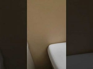 How to install Delta style seats and springs in a faucet