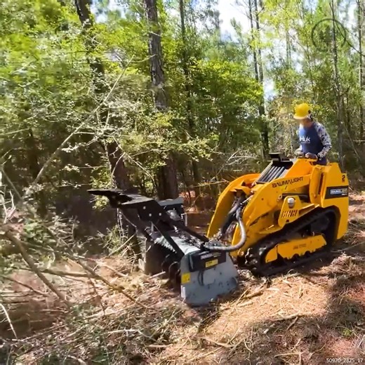 8.7K views · 71 reactions | This Is the ONLY Machine That Can Do THIS #Equipment #Machine #HomesteadEquipment #LandClearing | Piney Grove Homestead and Mini Farm | Facebook