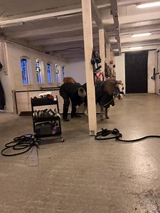 Da baby blev ordnet efter hun havde været ude og lave noget opdaget jeg hun var meget beskidt inde ved babserne🙈 Hvad er et område jeg normalt aldrig kommer i nærheden af, da krudtuglen aldrig står stille 😂 men den unge dame var træt efter 2 omgange omk foldene💪 så jeg udnyttede lige at hun stod stille 😝 selv om hun ikke var helt tilfreds med det til at starte med, så var det okay til sidst og hun synes det var rart 😍 kan sige at det dryssede ned med sort snask på gulvet og vådservietter va