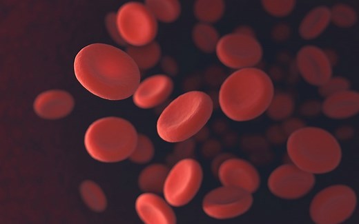 Anemia perniciosa: o que é, sintomas, causas e tratamento