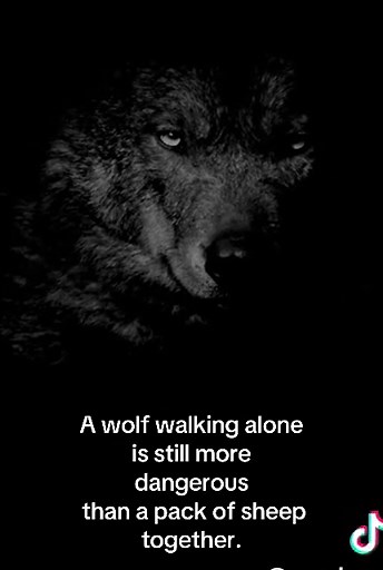 thepeerlessdynasty (@thepeerlessdynasty)’s videos with Wild Wolf Howls - Nature Soundscape