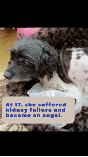 Give the most beautiful and meaningful gift this Christmas. | Prime Design Arts