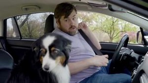 4K views · 32 reactions | It's Distracted Driving Awareness Month. Take it from Andy: don't drive distracted - keep your eyes forward. Even your boo thang can wait! #DistractedDriving #JustDrive #ThanksAndy #VisionZeroMT | Montana Department of Transportation | Facebook