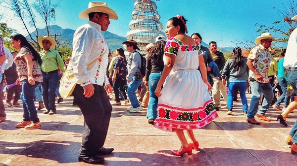 ¡Fantásticos! 🙌 Bailando #LaViborita 🎻 Los meros, meros del Huapango Tradicional 🤩 Don Jerónimo y Doña Rosa 🌺 en #Xilitla 🇲🇽 Trio Cantar Serrano Toño Cantar Serrano 🎻 | Yo Soy Coxcatlán