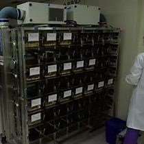 Basic Care Procedures