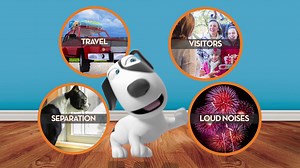 ThunderWunders Commercial 2019.mp4