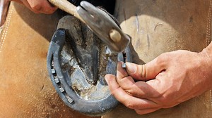 Why regular shoeing is the key to a happy, healthy horse - Horse & Hound