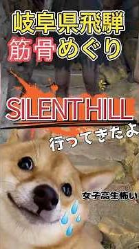 【筋骨めぐり】サイレントヒルFのモデルとなった岐阜県飛騨金山町に行ってきたよ #柴犬 #筋骨めぐり #サイレントヒル #雛子 #両面宿儺 #旅行 #鉄パイプ #女子高生
