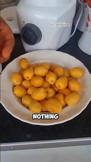 The Amazing Plant That Survives In The Desert