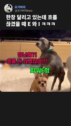 흥 깨졌을 때 E와 I의 소름 돋는 차이 ㅋㅋㅋ (ft. 고장난 강아지)
