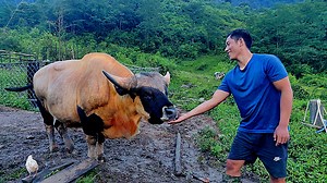 1.5M views · 42K reactions | Hellow Beautiful People 珞 you are...