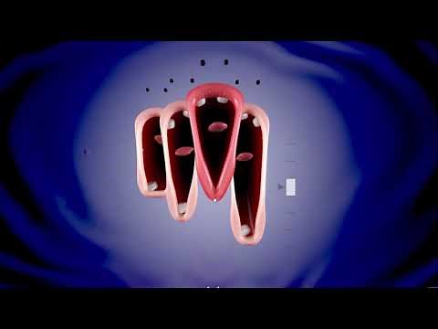 Mouth Choir