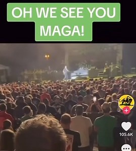 A message to Irish Americans and working class people from the_frank_lucas_2. 🔥🔥🔥 | Amy Siskind