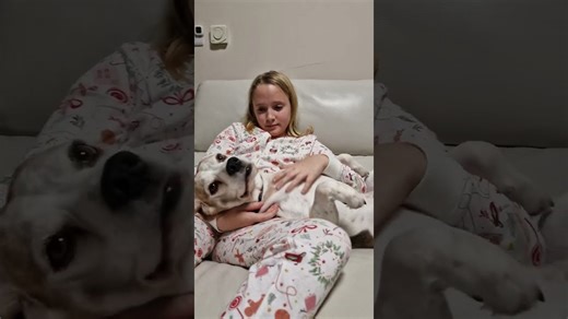 Some beagle sounds are enough to melt your heart