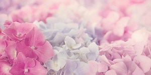 15 Inspirational Quotes That Will Give You Hope