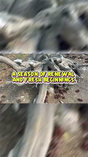 Join Our 64th Annual Spring Flower Festival!