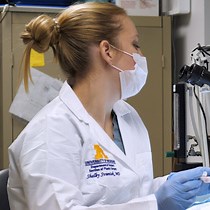 Video: Fabrication of the Composite Regenerative Peripheral Nerve Interface C-RPNI in the Adult Rat