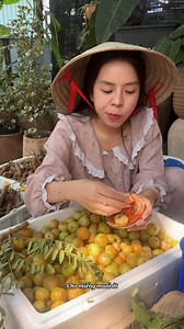 Mắc Kham (Me rừng) nay quả tròn to, tươi rói luôn ạ #mackham #Talifood #viral | Tali Food_Tiệm Quả Rừng 161