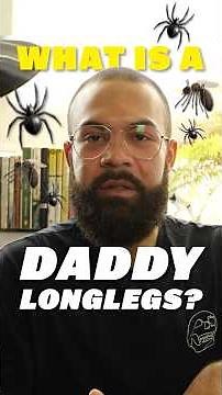 What is a daddy longlegs (and can they kill)? #biology #animation #nature #science #bugs #spider