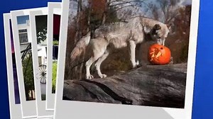 3.4K views · 12 reactions | Take a trip around the Hoosier State with Destination Indiana! Learn more here: https://fox59.com/destination-indiana/ | FOX59 News | Facebook