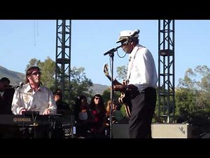 Chuck Berry "You Never Can Tell" @ Hootenanny 2010