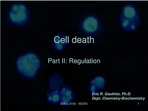 Cell death - SlideServe