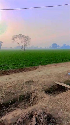 راے ارسلان درازکا نمر 1🥰💯☠️ (@ray.arslandrazaka1)’s videos with original sound - 🇨🇦Raj❤️Johal🇺🇸