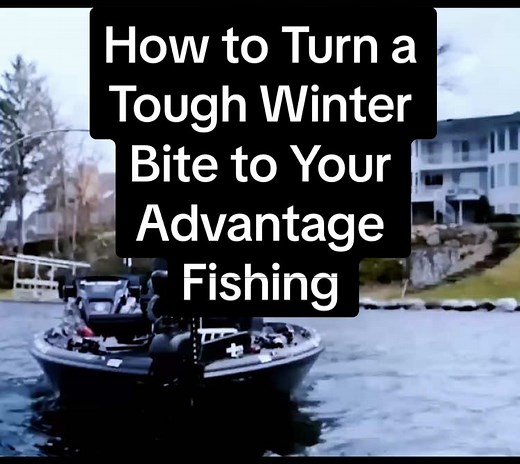 Fishing Tactics for Cold Winter Conditions