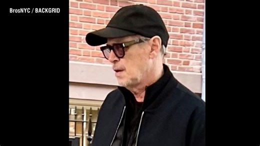 Steve Buscemi photographed for the first time since being punched in NYC