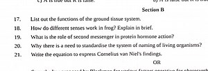 Section B17. List out the functions of the ground tissue syste... | Filo