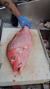 Delicious Fresh Queen Red Snapper Fish Clening Cutting Skills #fbreelsfypシ゚viralfbreelsfypシ゚viral #reelsvideo #foryoupage #viral #fb #reel #video #follower #Amazing #short | SH Fresh & Fish