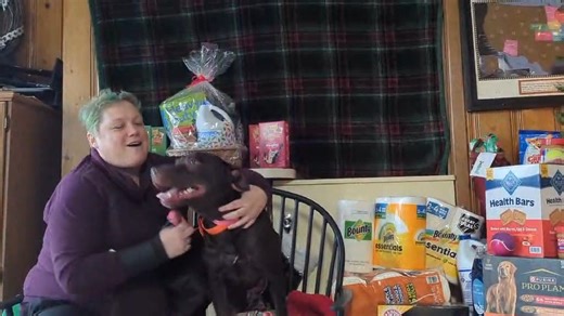 Merry Christmas from Moose!! Moose is an approximately 3 years old Lab mix. Moose has the typical goofy, easy going, nothing phases him Lab personality. He also has the typical Lab love of water, loves to play fetch, loves to run, loves to play….well, pretty much loves to be busy!!! He is great with everyone and everything. Nothing phases this guy. He is an all around perfect guy for the owner who wants a dog on the go all the time. | Homeward Bound Waggin, Inc