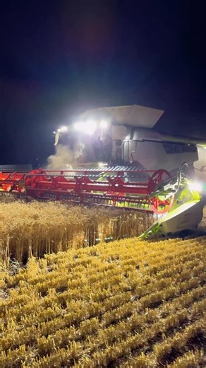 Pro Horizon - Farming Content on Instagram: "Night harvest with Andrew in the CLAAS 8800 lexion combine harvester and Andy in the Versatile and chaser bin At Barton and Co"