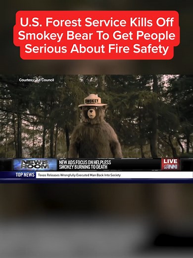 U.S. Forest Service Kills Off Smokey Bear To Get People Serious About Fire Safety