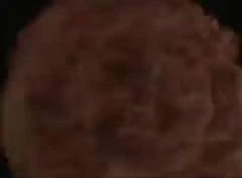 Pasadena Comic Con Guest Announcement Sarah Joy Brown Sarah Joy Brown, sometimes credited simply as Sarah Brown, is an American actress. She is perhaps best known for originating the role of Carly Corinthos on the American daytime drama General Hospital from 1996 to 2001. For the role, she won three Daytime Emmy Awards. 🎟️ Pasadena Comic Con 📅 Sunday, January 25th, 2026 📍 Pasadena Convention Center 👉 Get your tickets now: https://pasadenacomiccon.eventround.com/events/a41110bdd46947a2a0f3682