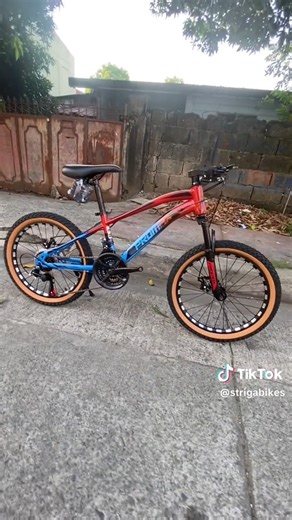 Promax PM5 Kids bike✨ #strigabikes #promaxpm5 #Promax #kidsbike | Striga Bikes