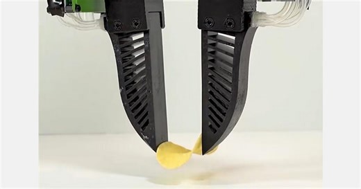 Robotic hand developed to handle fragile items such as fruit