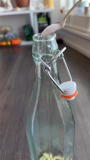 The stages of raising an exploding ginger bug (the full story) Part 2 | Growithjessie