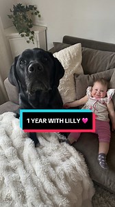 Happy Birthday Lilly! A Year of Puppy Love 🩷