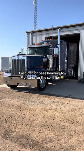 Season after season, our bees do the work that makes Beekeeper Direct what it is 🐝 Headed to Montana to bring back our signature clover honey. CA -> MT